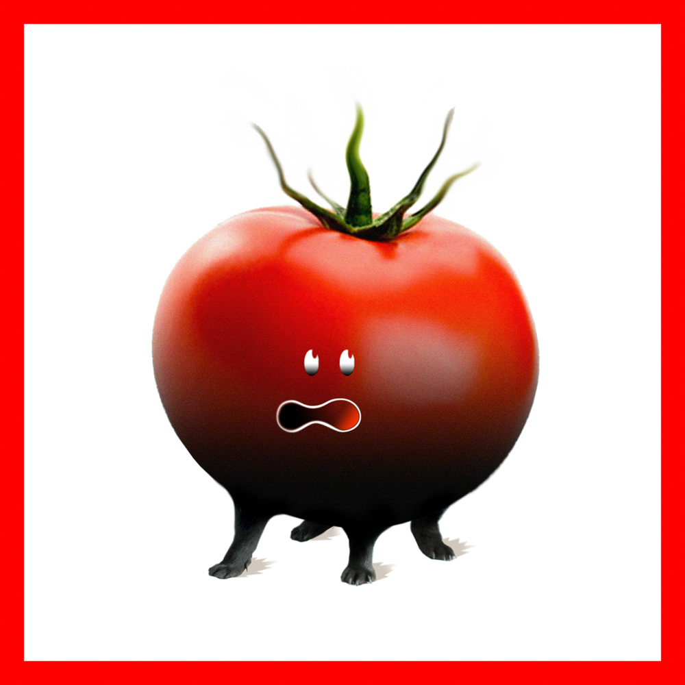 tomato blight