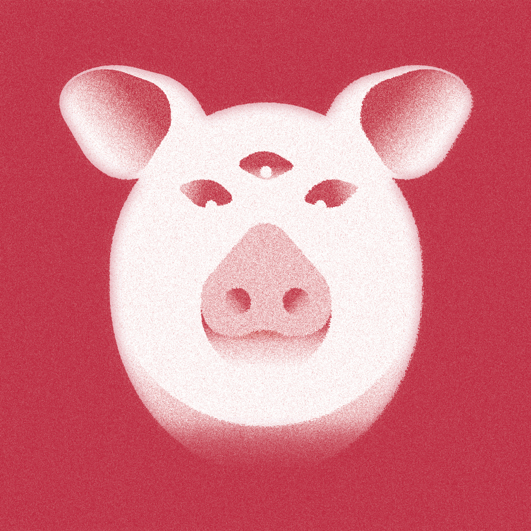 magic sow